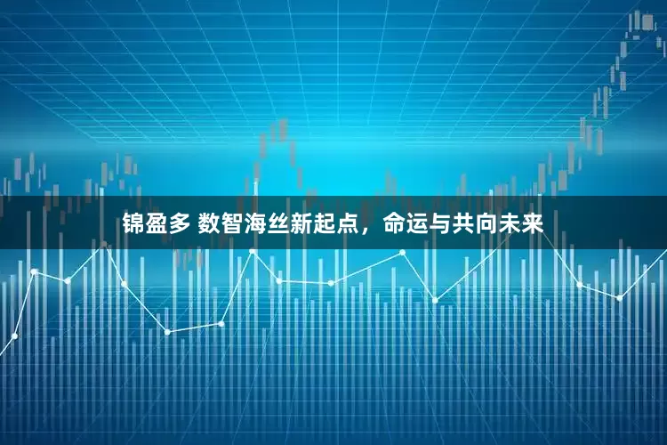 锦盈多 数智海丝新起点，命运与共向未来