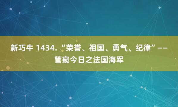 新巧牛 1434. “荣誉、祖国、勇气、纪律”——管窥今日之法国海军