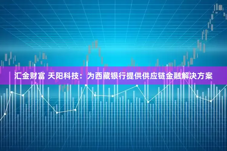 汇金财富 天阳科技：为西藏银行提供供应链金融解决方案