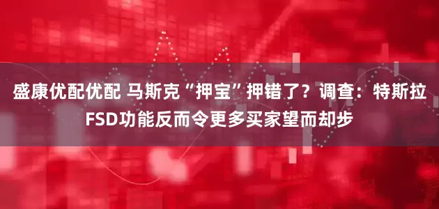 盛康优配优配 马斯克“押宝”押错了？调查：特斯拉FSD功能反而令更多买家望而却步